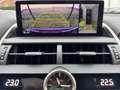 Lexus NX 300h Privilege Line Negro - thumbnail 19