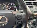 Lexus NX 300h Privilege Line Negro - thumbnail 24