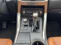 Lexus NX 300h Privilege Line Negro - thumbnail 21