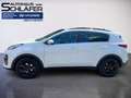 Kia Sportage 1.6 T-GDI 7-DCT Black Edition Pan.Dach Weiß - thumbnail 7