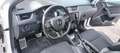 Skoda Octavia Wagon 2.0 tdi cr RS dsg - thumbnail 5