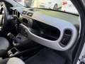 Fiat Panda Lounge Sitzheizung Einparkhilfe Alufelgen Grau - thumbnail 22