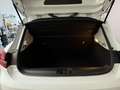 Renault Clio 1.5 blue dci Business 85cv NEOPATENTATI - thumbnail 13