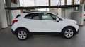 Opel Mokka 1.4 Turbo GPL Tech 140CV 4x2 Cosmo Bianco - thumbnail 6
