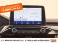Ford Kuga 2.5 full hybrid st-line awd 190cv cvt Rosso - thumbnail 23