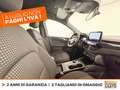 Ford Kuga 2.5 full hybrid st-line awd 190cv cvt Rosso - thumbnail 6