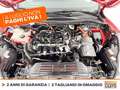 Ford Kuga 2.5 full hybrid st-line awd 190cv cvt Rosso - thumbnail 11
