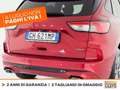 Ford Kuga 2.5 full hybrid st-line awd 190cv cvt Rosso - thumbnail 17