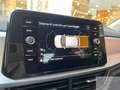 Volkswagen T-Roc 1.5 TSI 150 CV DSG LIFE FULL LED CARPLAY SENSORI Gris - thumbnail 12