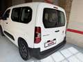 Citroen Berlingo BlueHDi S&S Talla M Live 100 Blanco - thumbnail 6