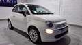 Fiat 500 Cult 1.0 Hybrid 51KW (70 CV) Weiß - thumbnail 2