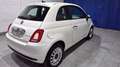 Fiat 500 Cult 1.0 Hybrid 51KW (70 CV) Blanc - thumbnail 7