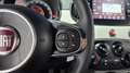 Fiat 500 Cult 1.0 Hybrid 51KW (70 CV) Blanc - thumbnail 21