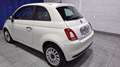 Fiat 500 Cult 1.0 Hybrid 51KW (70 CV) Blanc - thumbnail 5