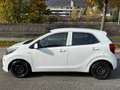 Kia Picanto Picanto 1,0 MPI Silber Silber Blanc - thumbnail 6