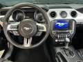 Ford Mustang Convertible 5.0 GT Automaat, geen USA import, 1e e Zwart - thumbnail 18