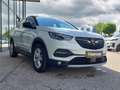 Opel Grandland X Busin.Elegance AT D1,5 130PS Weiß - thumbnail 4