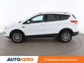 Ford Kuga 1.6 EcoBoost Titanium AWD Aut. *XENON*TEMPO*PANO* Weiß - thumbnail 3