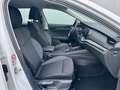 Skoda Octavia Combi 2,0 TDI Ambition Weiß - thumbnail 12