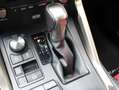 Lexus NX 300h AWD F Sport Line | Mark Levinson | Panoramadak | 3 Grijs - thumbnail 20