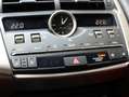 Lexus NX 300h AWD F Sport Line | Mark Levinson | Panoramadak | 3 Grijs - thumbnail 18