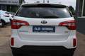 Kia Sorento Platinum 4WD *2.HAND/AUTO/RFK/PANO/AHK* Blanc - thumbnail 5