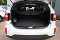 Kia Sorento Platinum 4WD *2.HAND/AUTO/RFK/PANO/AHK* Blanc - thumbnail 24