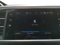 Peugeot 308 SW 1.5 bluehdi GT s&s 130cv eat8 Nero - thumbnail 14