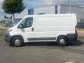 Fiat Ducato Kasten 30 130 L1H1 RS: 3000 mm*1.Hand* Weiß - thumbnail 2