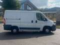 Fiat Ducato Kasten 30 130 L1H1 RS: 3000 mm*1.Hand* Weiß - thumbnail 6