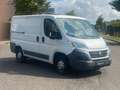 Fiat Ducato Kasten 30 130 L1H1 RS: 3000 mm*1.Hand* Weiß - thumbnail 7