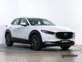 Mazda CX-30 2.5 e-Skyactiv-G Exclusive Line FWD 103kW Blanc - thumbnail 4