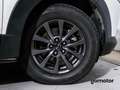 Mazda CX-30 2.5 e-Skyactiv-G Exclusive Line FWD 103kW Blanc - thumbnail 9