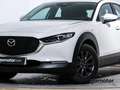 Mazda CX-30 2.5 e-Skyactiv-G Exclusive Line FWD 103kW Blanc - thumbnail 7