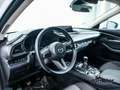 Mazda CX-30 2.5 e-Skyactiv-G Exclusive Line FWD 103kW Blanc - thumbnail 15