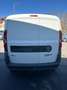 Fiat Doblo Basis Kasten Blanc - thumbnail 4