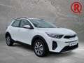 Kia Stonic Vision 1.2 STD Lenkradheizung Sitzheizung Sprachst Blanc - thumbnail 3
