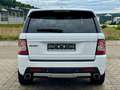 Land Rover Range Rover Sport Voll Austattung TÜv/AU 09.2027 Weiß - thumbnail 8