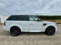 Land Rover Range Rover Sport Voll Austattung TÜv/AU 09.2027 Weiß - thumbnail 6