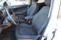 Hyundai i10 Passion|Klimaautomatik|Tempomat|64KW| Weiß - thumbnail 11