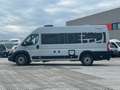 Globecar Campscout / Pössl Roadcruiser *160PS**Navi/RFK* Grau - thumbnail 8