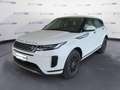 Land Rover Range Rover Evoque II 2019 Die 2.0d i4 mhev S awd 163cv auto Weiß - thumbnail 1