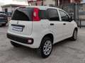 Fiat New Panda VAN 900CC NATURAL POWER 2 POSTI POP - 2020 Blanco - thumbnail 3
