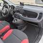 Fiat New Panda VAN 900CC NATURAL POWER 2 POSTI POP - 2020 Blanco - thumbnail 11