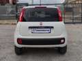 Fiat New Panda VAN 900CC NATURAL POWER 2 POSTI POP - 2020 Blanco - thumbnail 4