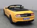 Ford Mustang GT Cabrio V8 450PS Aut./Premium 2 Orange - thumbnail 43