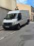 Ford Transit FT 350L Bus M2 140 AWD - thumbnail 19