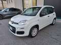 Fiat Panda 1.2 Easy Blanc - thumbnail 2