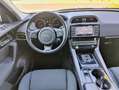 Jaguar F-Pace F-PACE Pure AWD*NAVI*SHZ*PDC-CAM* Gris - thumbnail 14