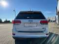 Jeep Grand Cherokee 3.6 V6 Pentastar 4WD Automatik Summit Blanco - thumbnail 6